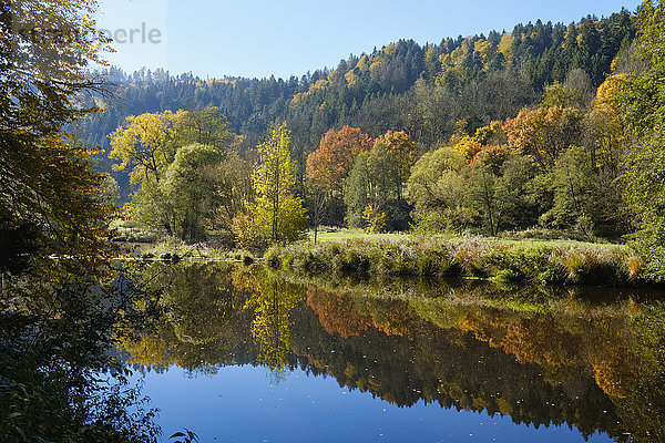 Deutschland  Bayern  Niederbayern  Bayerischer Wald  Naturschutzgebiet Obere Ilz  Ilz im Herbst