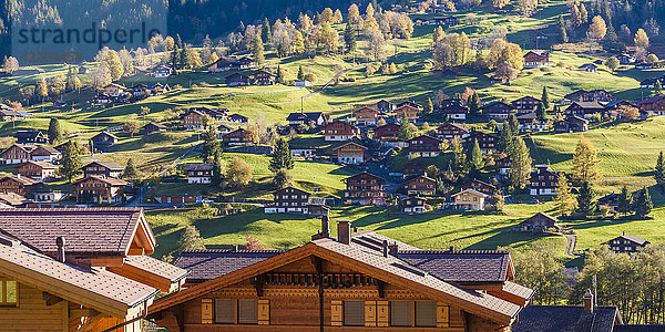 Schweiz  Bern  Berner Oberland  Ferienort Grindelwald  Chalets