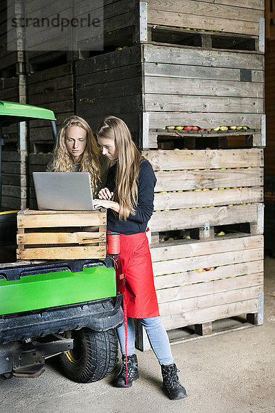 Zwei Frauen benutzen Laptop zwischen Kisten auf einem Bauernhof