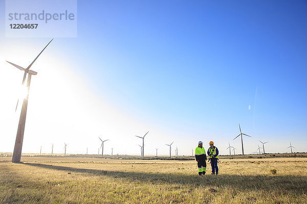 Zwei Ingenieure diskutieren über einen Windpark