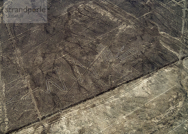 Die Reiher-Geoglyphe  Luftaufnahme  Nazca  UNESCO-Weltkulturerbe  Region Ica  Peru  Südamerika