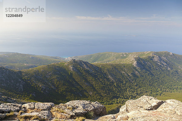 Blick auf das Meer auf dem Weg zum Monte Capanne  Insel Elba  Provinz Livorno  Toskana  Italien  Europa