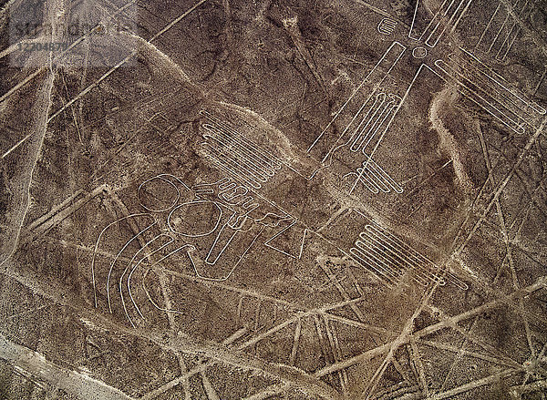 Die Vogel-Geoglyphe  Luftaufnahme  Nazca  UNESCO-Weltkulturerbe  Region Ica  Peru  Südamerika