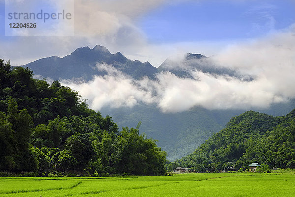 Strohgedeckte Hütten und Reisfelder mit nebligen Bergen im Hintergrund  Mai Chau  Vietnam  Indochina  Südostasien  Asien