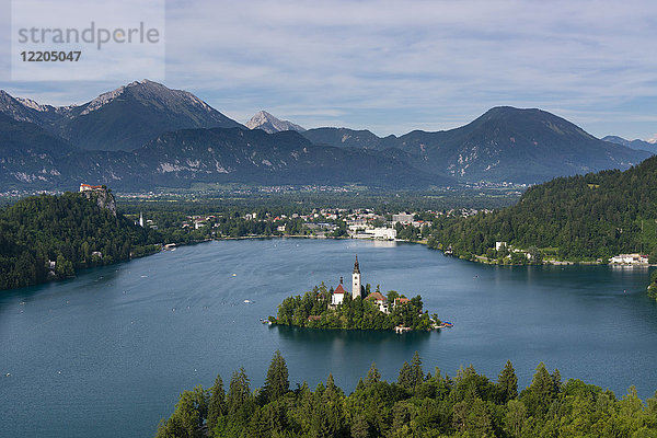 Blick von oben auf den Bleder See und die Wallfahrtskirche Maria Himmelfahrt  Bled  Slowenien  Europa