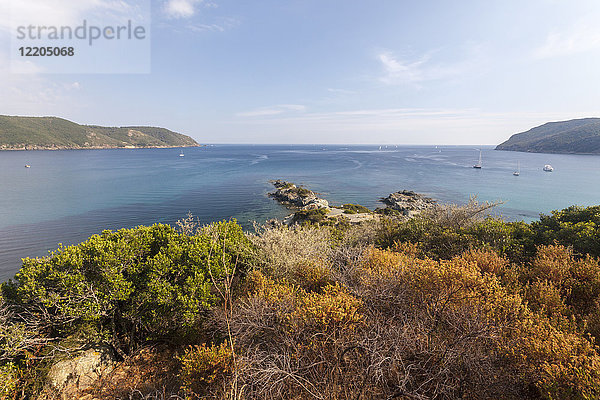 Blick auf das blaue Meer vom Landesinneren aus  Lacona  Capoliveri  Insel Elba  Provinz Livorno  Toskana  Italien  Europa