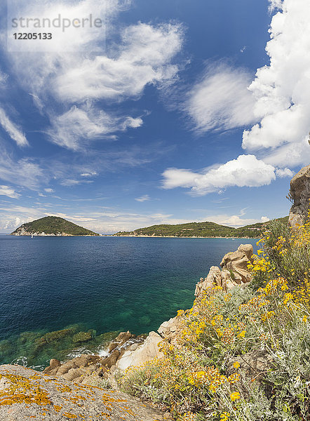 Panoramablick auf blaues Meer  Golf von Procchio  Marciana  Insel Elba  Provinz Livorno  Toskana  Italien  Europa