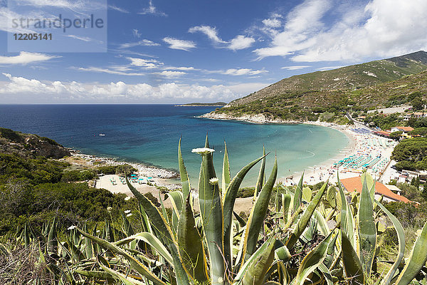 Blick auf das türkisfarbene Meer und den Strand von Cavoli  Marciana  Insel Elba  Provinz Livorno  Toskana  Italien  Europa