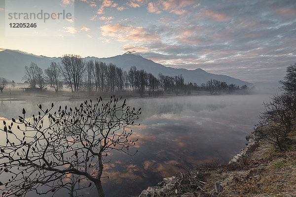 Wolken  die sich im Fluss Mera in der Morgendämmerung spiegeln  Sorico  Provinz Como  Unteres Valtellina  Lombardei  Italien  Europa