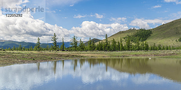 Wassertümpel und Tannenbäume im White Lake National Park  Bezirk Tariat  Provinz Nord-Hangay  Mongolei  Zentralasien  Asien