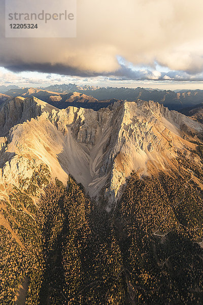Luftaufnahme der Wälder auf den Graten des Latemar-Massivs  Dolomiten  Südtirol  Italien  Europa
