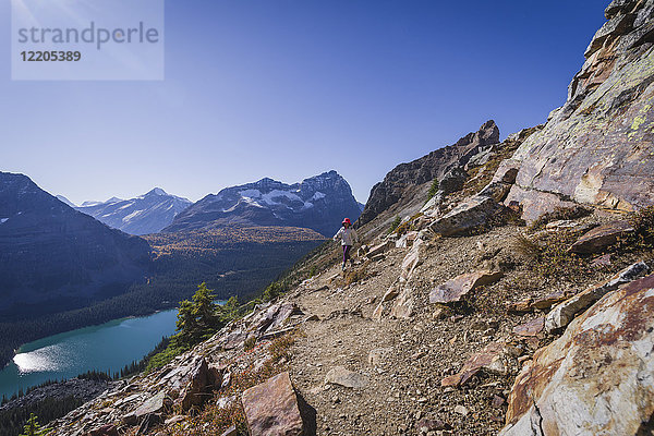Wanderin auf dem Alpine Circuit Trail am Lake O'Hara  Yoho-Nationalpark  UNESCO-Welterbe  British Columbia  Kanadische Rocky Mountains  Kanada  Nordamerika