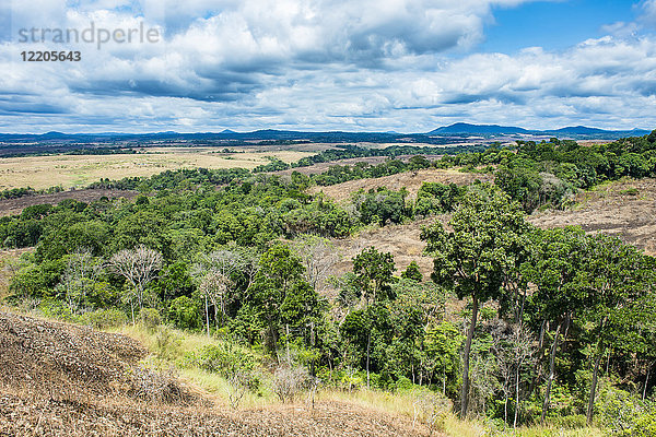 Teile des Regenwaldes in der Savanne des Lope-Nationalparks  UNESCO-Weltkulturerbe  Gabun  Afrika