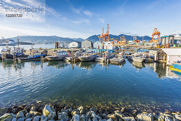 Blick auf ein Kreuzfahrtschiff und Boote  die im Hafen in der Nähe des CRAB Park an der Portside festgemacht haben  Vancouver  British Columbia  Kanada  Nordamerika