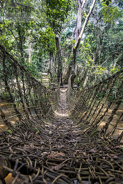 Handgefertigte Rebenbrücke im Dzanga-Sangha-Park  UNESCO-Welterbe  Zentralafrikanische Republik  Afrika