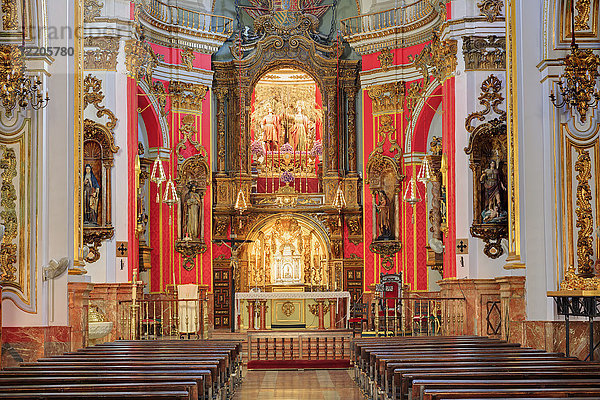 Kirche de los Martires  Malaga  Andalusien  Spanien  Europa
