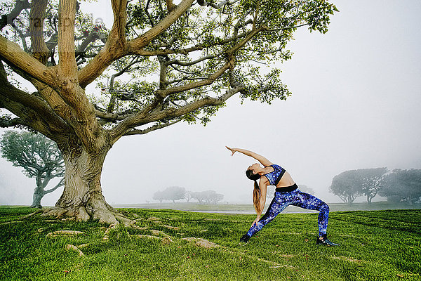 Mixed race woman exercising and stretching near tree