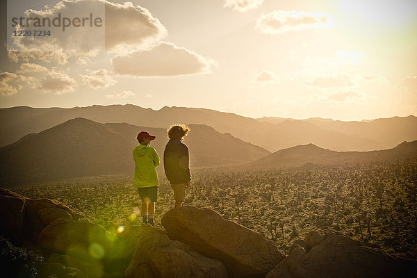 Boys standing on rock admiring desert landscape