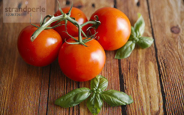 Tomaten am Weinstock mit Basilikumblatt