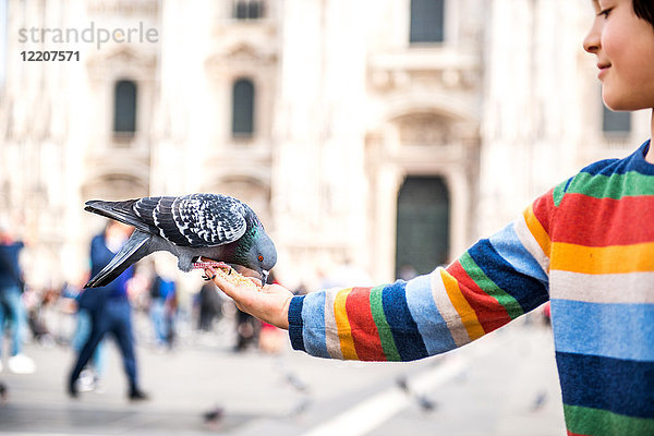 Junge füttert Taube auf dem Platz  Mailand  Lombardei  Italien