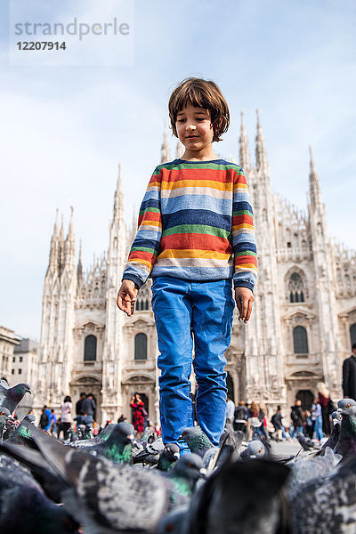 Junge unter Tauben auf dem Mailänder Domplatz  Mailand  Lombardei  Italien