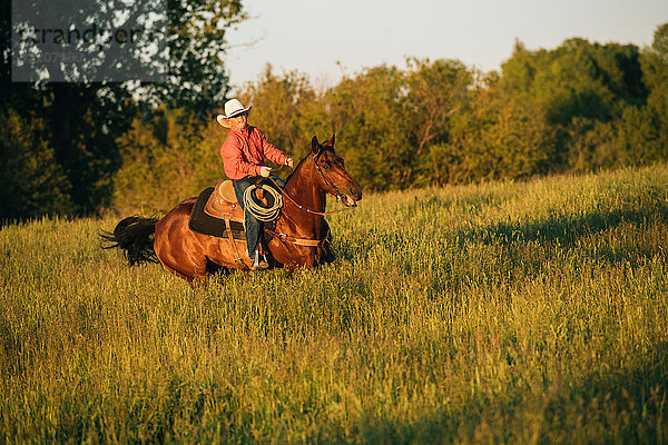Junge reitet Pferd im Feld