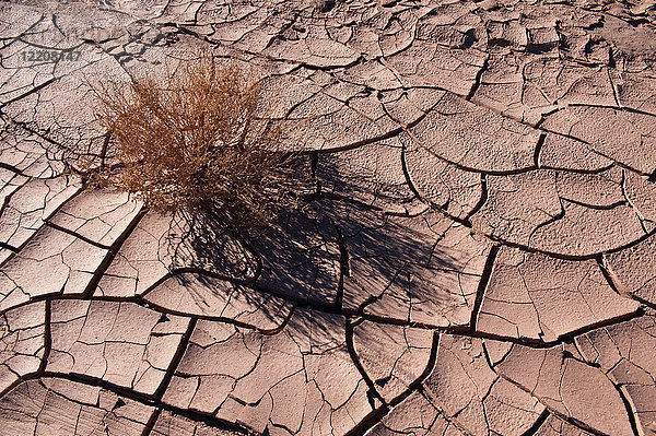 Trockener rissiger Schlamm im Tal des Mondes  Salar de Atacama  Atacama-Wüste  Chile