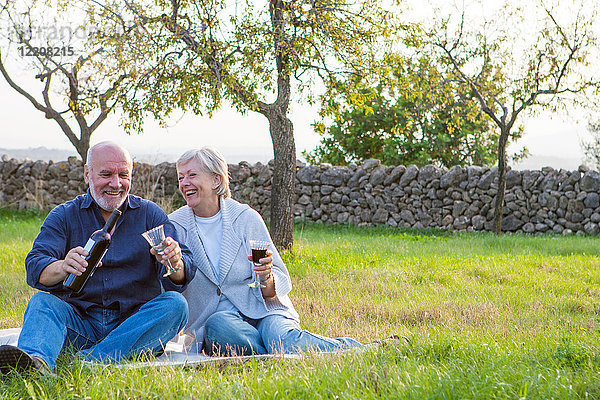 Älteres Ehepaar im Freien  auf einer Decke sitzend  genießt ein Glas Wein