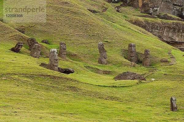 Gruppe der Moai-Statue von Rano Raraku auf der Osterinsel