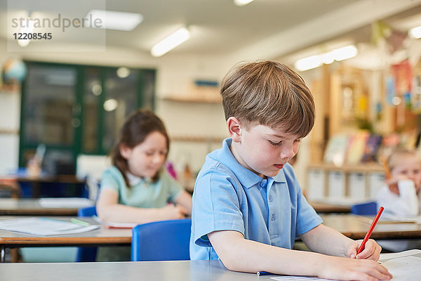 Schuljunge zählt das Schreiben in der Klassenstunde der Grundschule