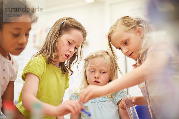 Grundschülerinnen machen Experimente im Klassenzimmer