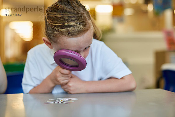 Schulmädchen schaut durch eine Lupe im Unterricht in der Grundschule