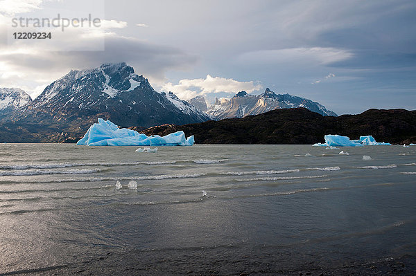 Eisberge am Grauen See  Nationalpark Torres del Paine  Patagonien  Chile