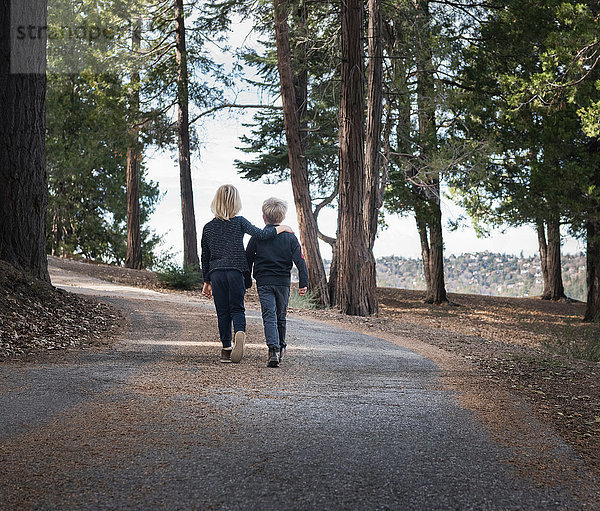 Jungen gehen auf der Straße durch den Wald  Lake Arrowhead  Kalifornien  USA