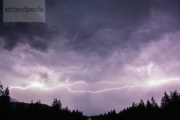Blitze am Himmel über den kanadischen Rocky Mountains  Region Kootenay  Fernie  Britisch-Kolumbien  Kanada