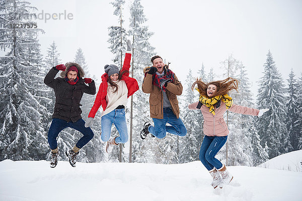 Freunde springen im Schnee