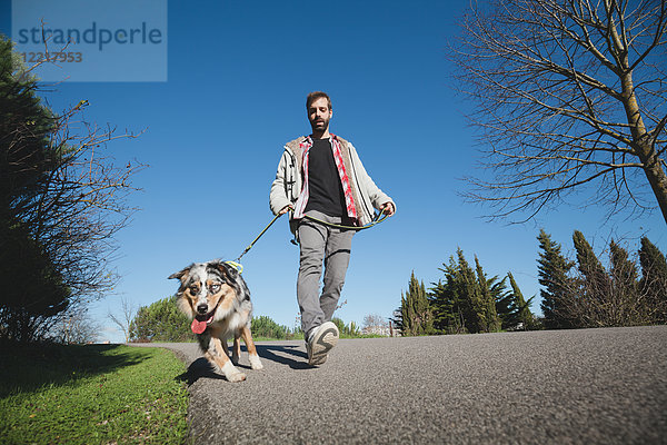 Mittelgroßer erwachsener Mann beim Spaziergang mit Hund im Park  niedriger Blickwinkel