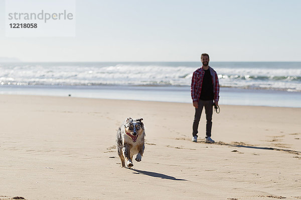 Mann beobachtet seinen Hund beim Laufen am Strand