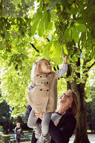 Mutter hält Kleinkind-Tochter hoch  um Blätter im Park zu berühren