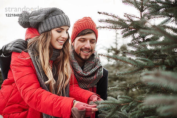 Junges Paar betrachtet Tannennadeln beim Weihnachtsbaumkauf im Wald