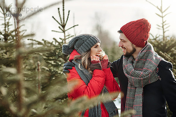 Glückliches junges Paar im Weihnachtsbaumwald