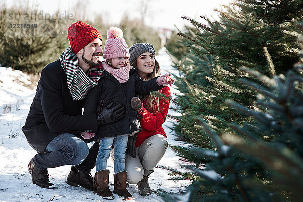 Mädchen und Eltern betrachten Waldweihnachtsbäume