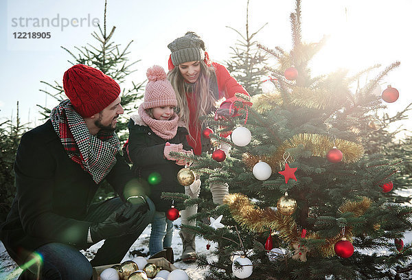 Mädchen und Eltern betrachten Kugeln am Waldweihnachtsbaum