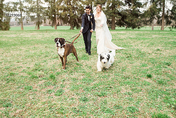 Porträt der Braut und des Bräutigams mit ihren Hunden