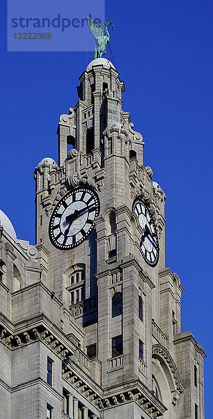 England  Merseyside  Liverpool; Der Uhrenturm des Royal Liver Building an der Waterfront.