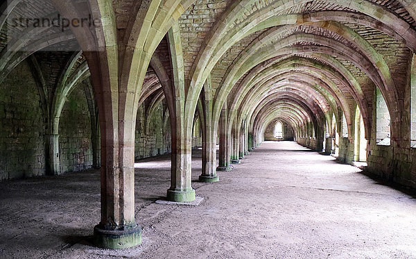 England  NorthYorkshire  Fountains Abbey  größte Zisterzienserkloster-Ruinenhöhle