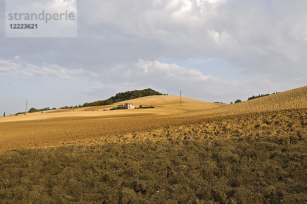 Landschaft  Umgebung von Recanati  Marken  Italien