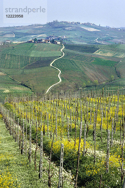 Landschaft in der Region Oltrepò in Pavia  Italien