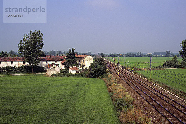 Reisfelder  Umgebung von Cassolnovo  Lombardei  Italien