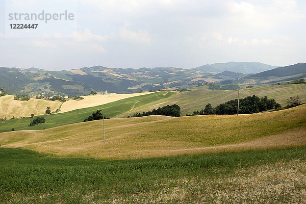 Italien  Emilia Romagna  Pianello  Landleben